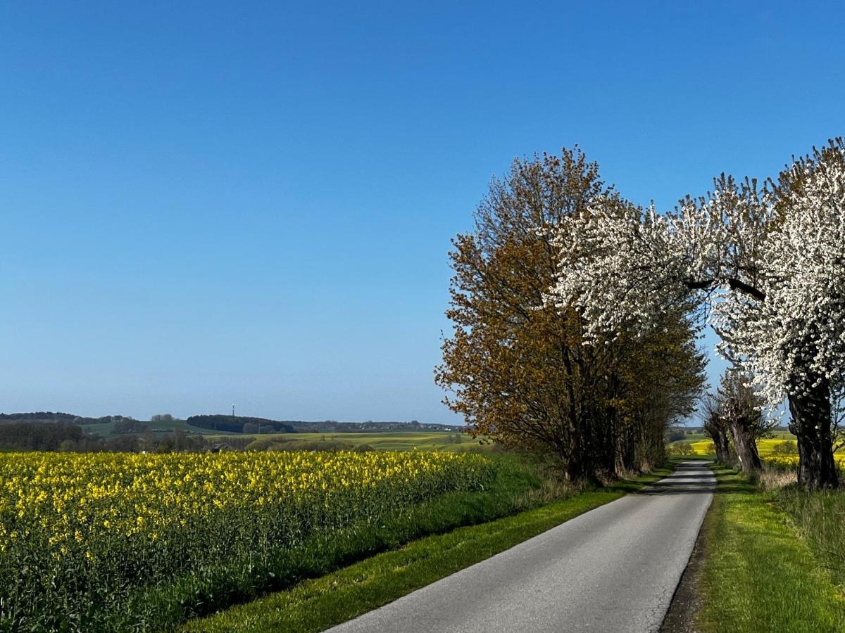 Gut Manderow An Der Ostsee Hohenkirchen  Buitenkant foto
